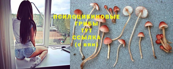 винт Кодинск